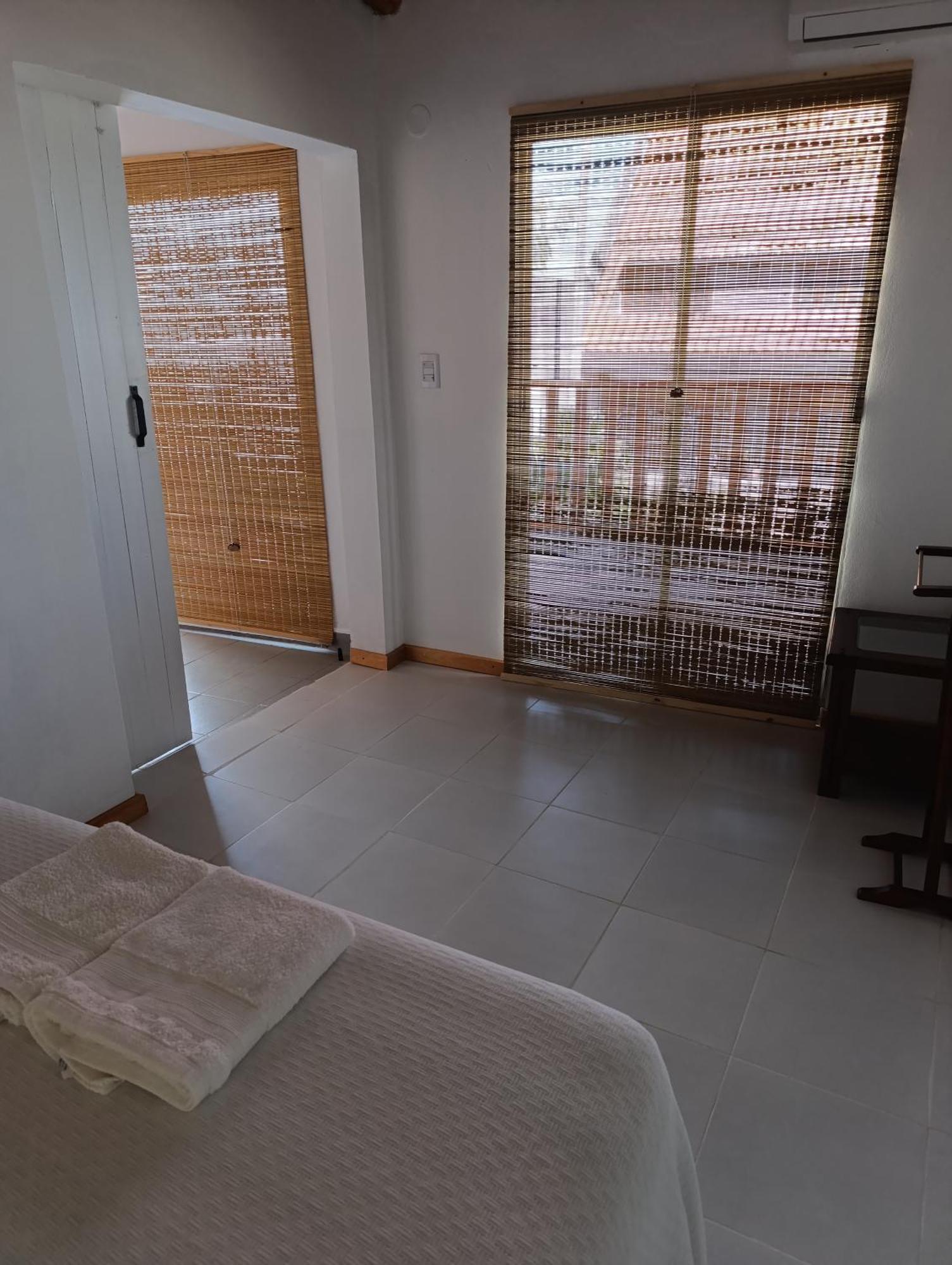 Departamento Alem